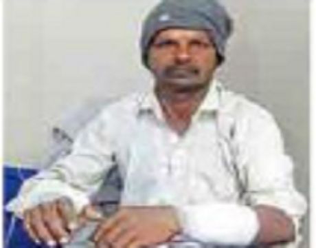 Tigress' fought with leopard, saved husband's life from death