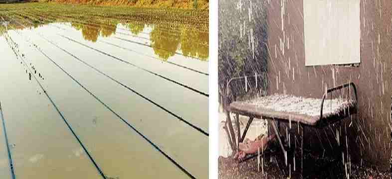Ahilyanagar Rain Avakalicha Fatka, Garpiticha Tadakha