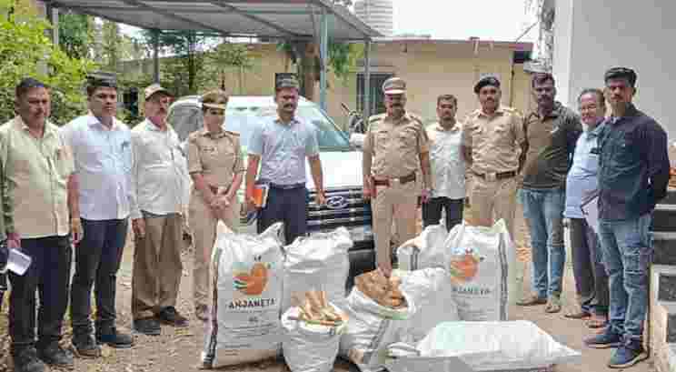 Forest department seized 201 kg of Chandanachi wood 
