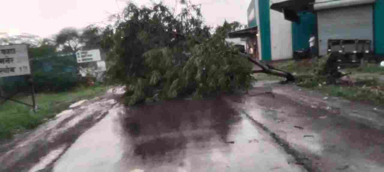 Heavy rains in this area, trees fell on the road