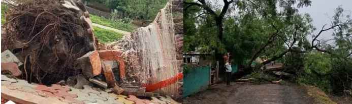 Woman dies after tree falls on bullock cart in storm