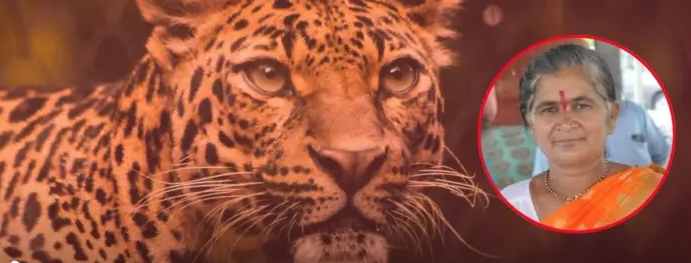 Woman injured in leopard attack dies
