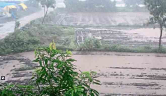 arrival of monsoon in Bhandardara dam catchment