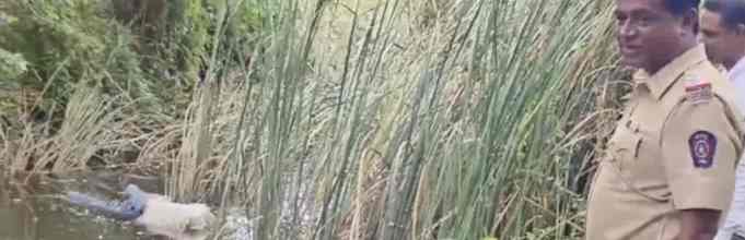 Police were informed about the body, but they left