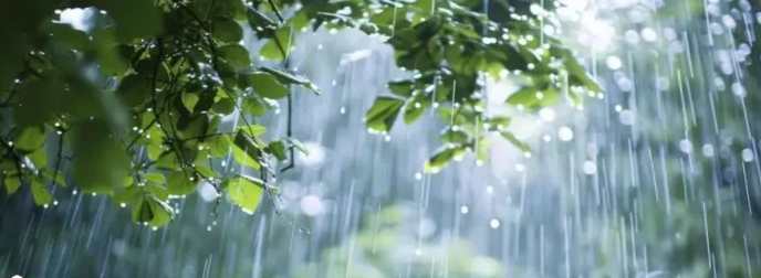 Rain intensity increases in Bhandardara, Mula 