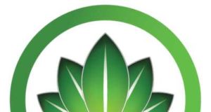 HBN sebi news 2