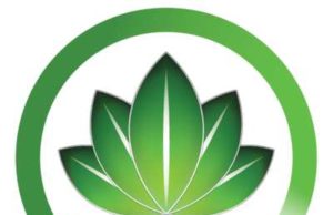 HBN sebi news 2
