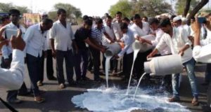 Sangamner: farmers stopped Mumbai's milk supply