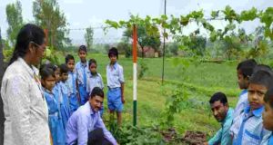 Latest News Akole beautiful parasbaag 