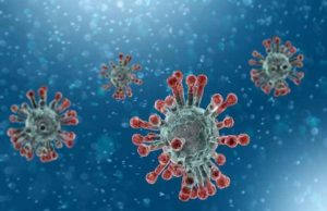 Latest News Sari disease one death