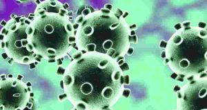 Coronavirus Akole one sangamner two patient