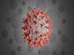 Coronavirus Ahmednagar seven and Sangamner two  