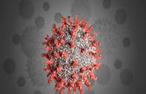 Coronavirus Ahmednagar seven and Sangamner two  