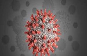 Coronavirus Sangamner Akole news Updates