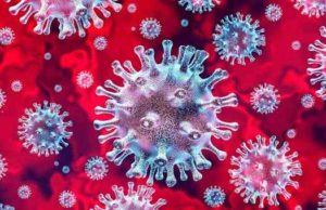 Coronavirus Sangamner News update 