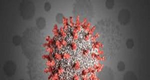 Akole Chas Pimpaldari one youth corona infected