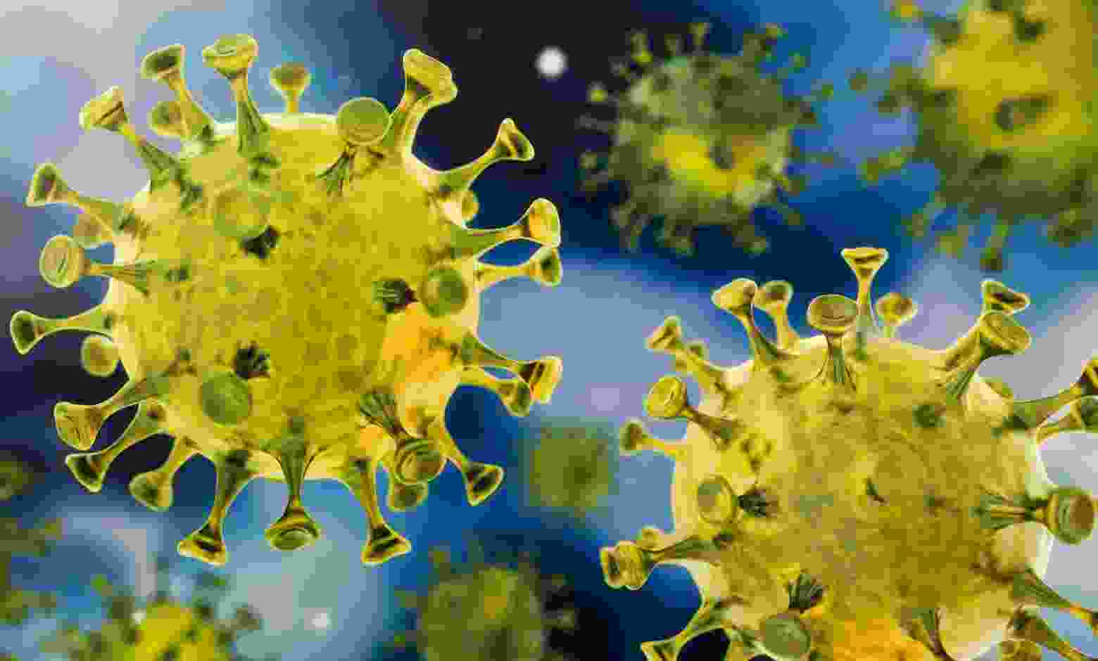 Coronavirus Akole Bahirvaadi corona infected