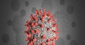 Coronavirus Sangamner 11 corona positive