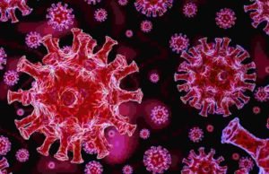 Coronavirus Sangamner highest record corona infected