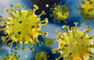 Coronavirus Sangamner taluka 56 corona infected