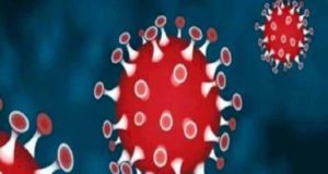 Shevgaon one corona infected death