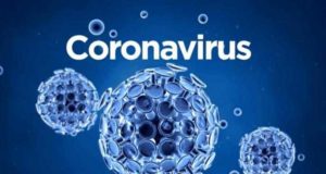 Akole taluka 41 corona infected today
