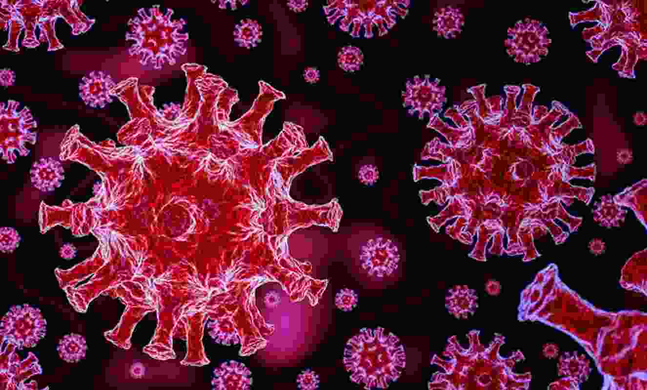 Akole taluka 5 coronavirus infected