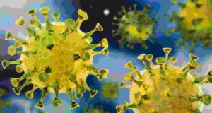 Akole taluka Today 40 corona infected