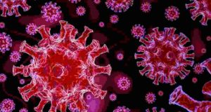 Sangamner taluka 55 corona infected