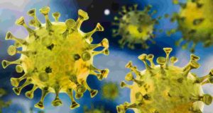 Shrigonda taluka coronavirus ladies death