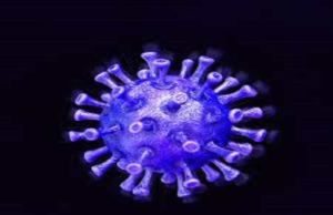 Akole City 23 total of 54 corona infected