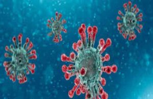 Akole Taluka One death 61 corona infected