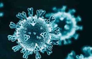 Akole: अकोले तालुक्यात आज ३३ करोनाबाधित वाढले Akole Taluka Total 1385 corona infected