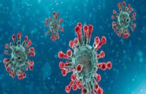 Akole taluka 38 corona infected Saturday 