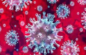 Corona News Ahmednagar 638 patient discharge today