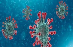 Ahmednagar 267 patient Discharge and increased some 