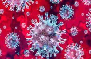 अहमदनगर जिल्ह्यात आजपर्यंत ४५ हजार ३८२ रुग्णांना डिस्चार्ज Ahmednagar Total Discharge Patient 45382