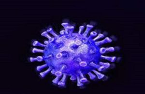 Akole Taluka 9 corona infected one death 