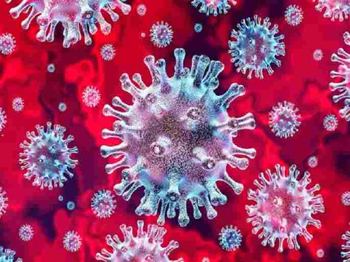 Akole Taluka Today Seven Corona infected