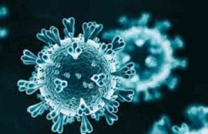 Akole: अकोले तालुक्यात आज २० करोनाबाधितांची भर Akole taluka 20 corona positive Today