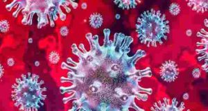 Kotul corona Patient Increased