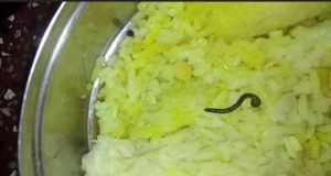 Rahata Sibling dies of poisoning