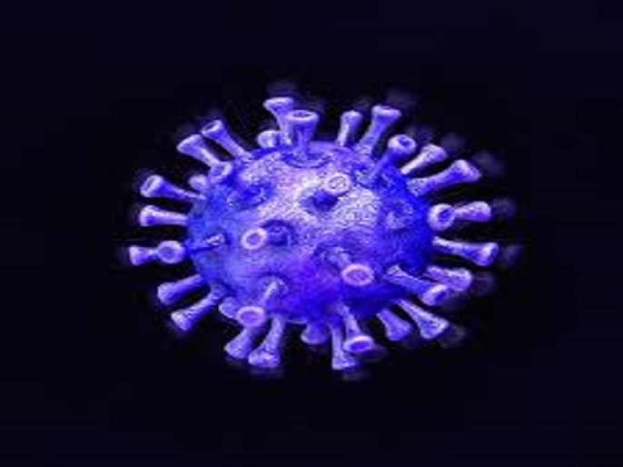 Sangamner Taluka 36 corona infected Saturday 