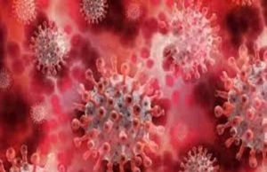 Sangamner Taluka 51 caronavirus infected 