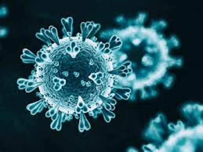 Akole Taluka Friday 7 coronavirus infected