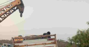 Sangamner pik up Accident 