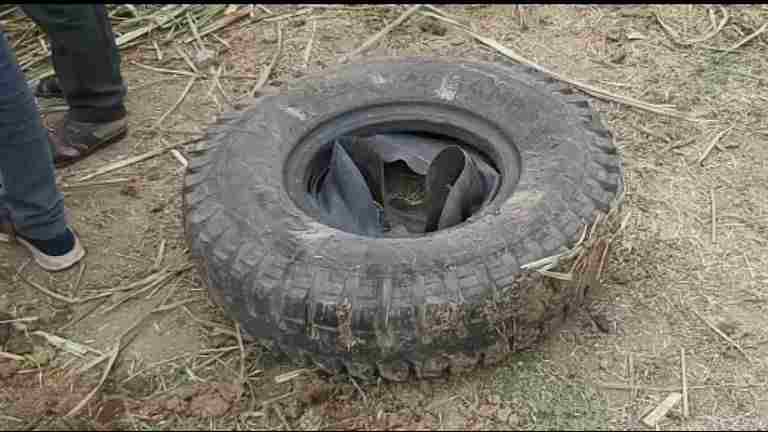 Accident Two cane harvesters were injured when a tire burst