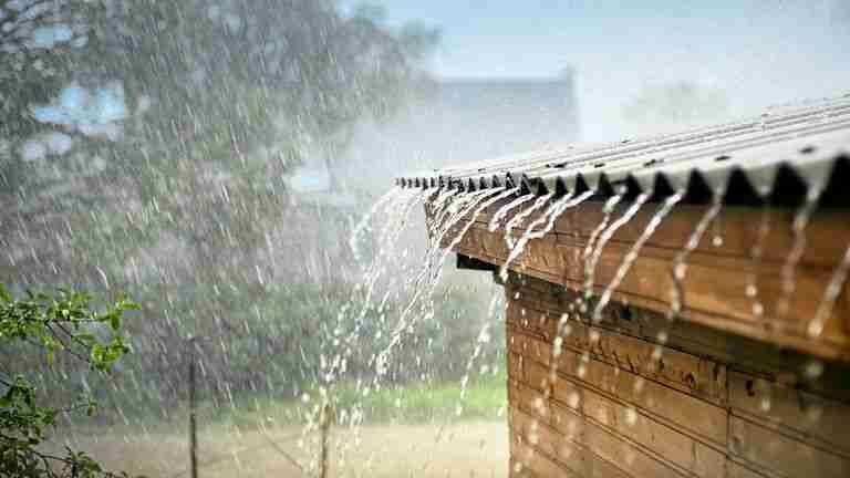 Weather Rain alert rain in the state including Panjab Dakh