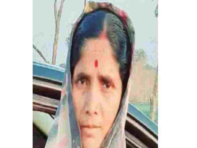 Woman killed in Bibatya attack in Sangamner taluka