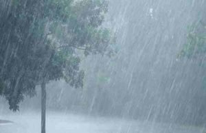 Rain crisis in the state on this date, Punjab Dakh forecast